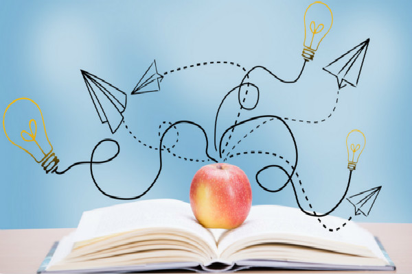 [幼儿园托班区域活动教案]幼儿园托班区域活动：套套乐